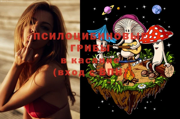 герыч Вяземский