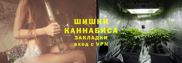 ГАЛЛЮЦИНОГЕННЫЕ ГРИБЫ Волосово