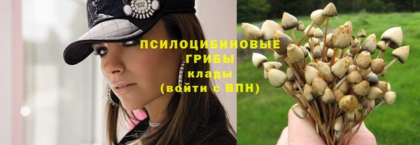 ГАЛЛЮЦИНОГЕННЫЕ ГРИБЫ Волосово
