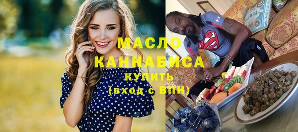 гидра Волоколамск