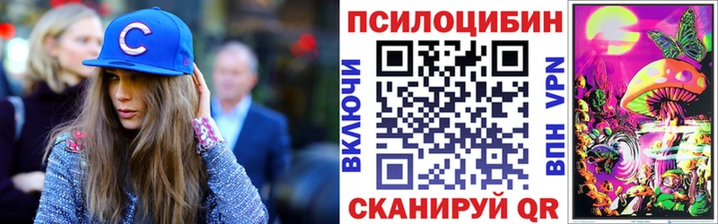 где купить наркотик  Ессентуки  Галлюциногенные грибы GOLDEN TEACHER 