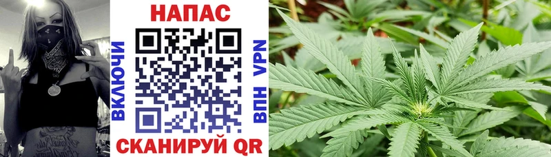 MEGA маркетплейс  Ессентуки  МАРИХУАНА SATIVA & INDICA 